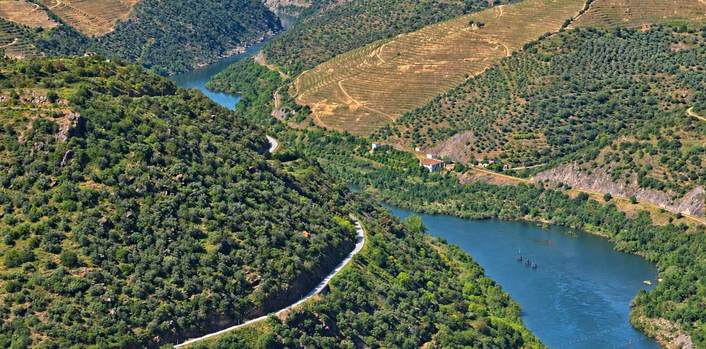 Vale do Douro com o rio e socalcos